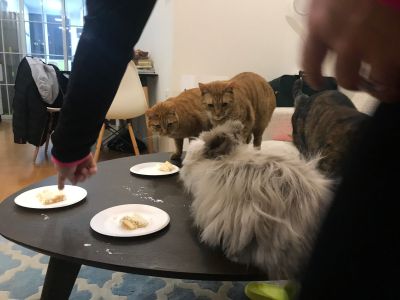 钟点工