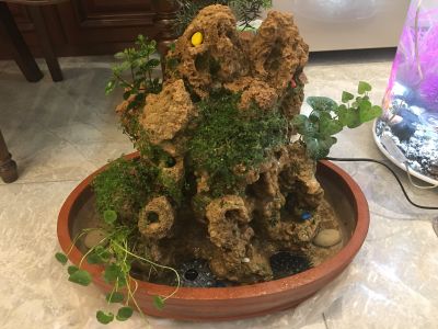 车垫修补
