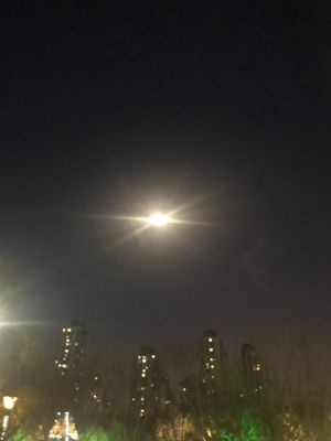 文化