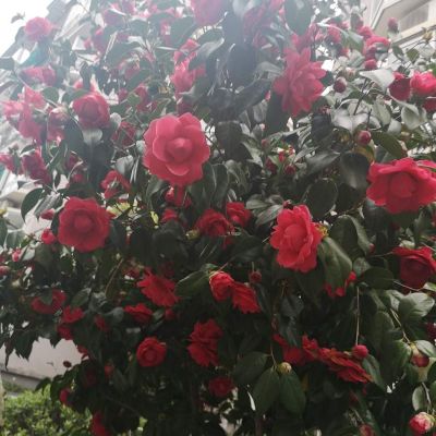 拆装空调