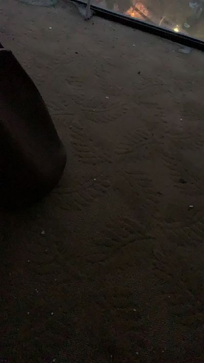 设计