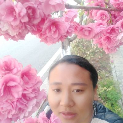 按装木地板按装木地板