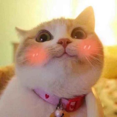 会聊天
