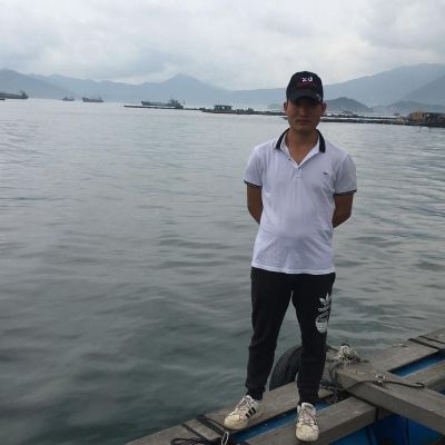 弱电安防工程监控门禁自动门旋转门智能家居