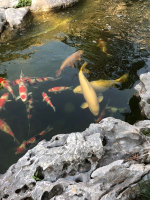 水电灯具安装