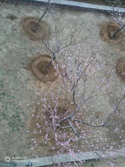 家庭装修维修