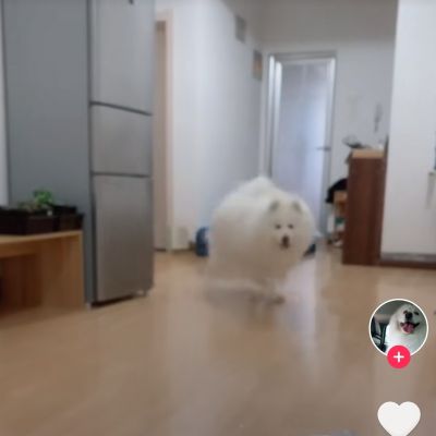 机械