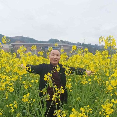 石膏线安装