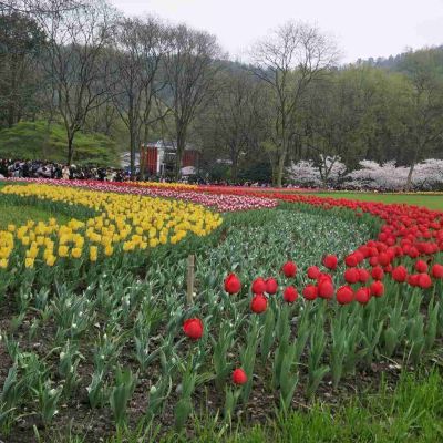 钢构装修土建
