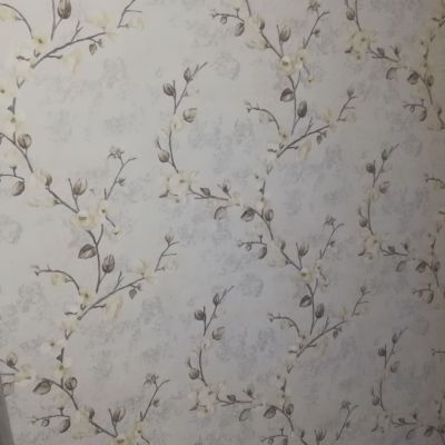 太阳☀️太猛了，想去逛下都怕去