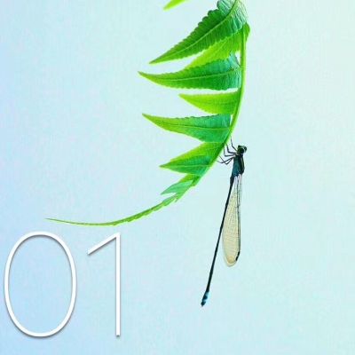 专业净水器安装售后13年，城市净水服务！