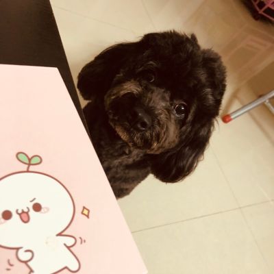 建材行业