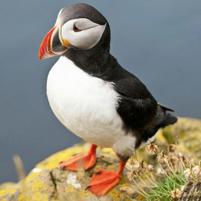 专业清洗专业清洗