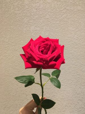 搬运安装