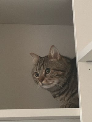 工人