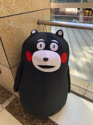 安装