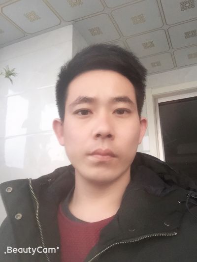 全能型