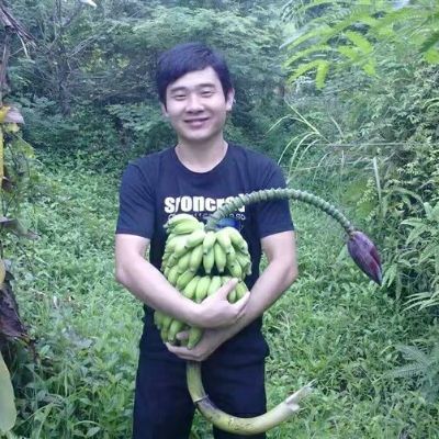 保洁搬厂搬家保洁拆除砸墙