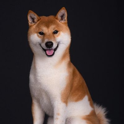 电工维修管道