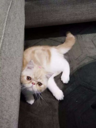 艺术