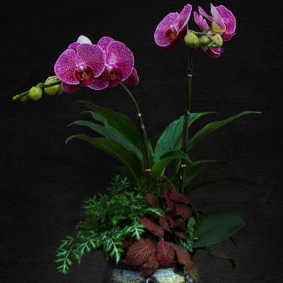 不锈钢铝合金赶紧下单