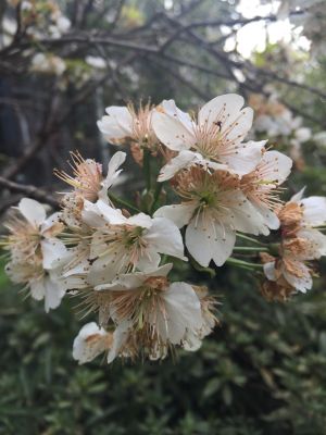 建筑装饰