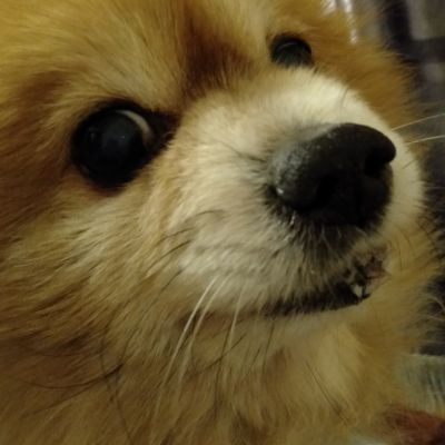 木工