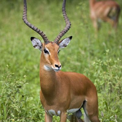 水电工装灯电维修水电装修