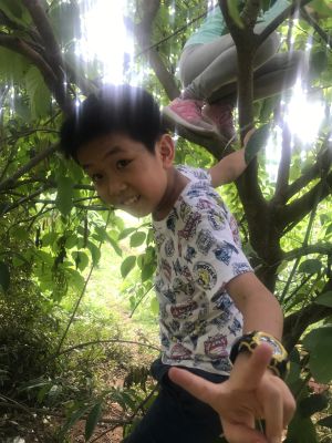 装饰业