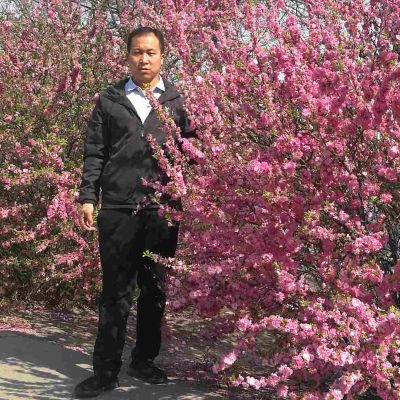 电工安装维修