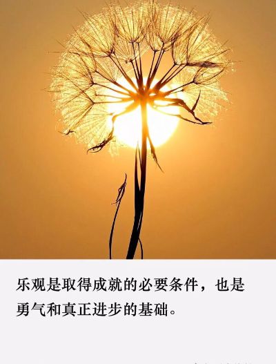 教师