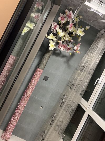 个体