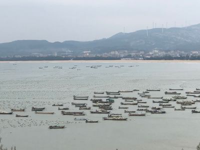 物业管理