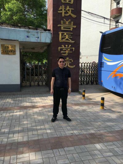 网路家具组装