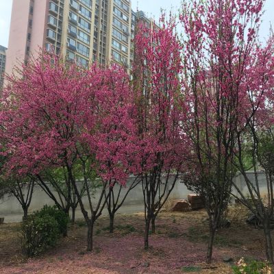 砌筑加气块，混凝土水泥砖。日工或包活都可