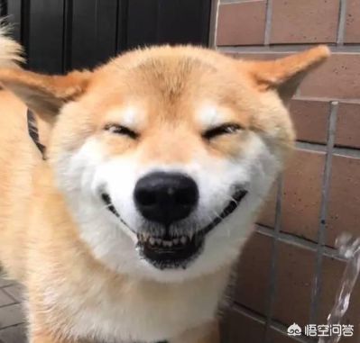 水电灯洁瓦工水电维修安装瓦工贴砖私房