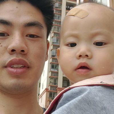 安装等仿真绿植墙