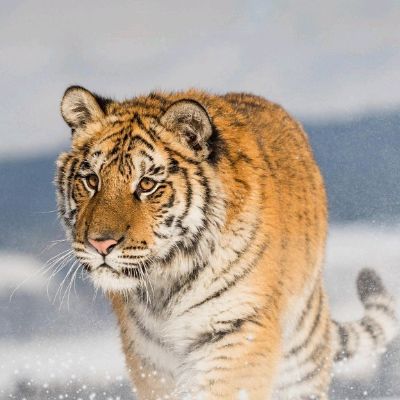 订做大理石大理石背景墙大理石吧台大理石台面