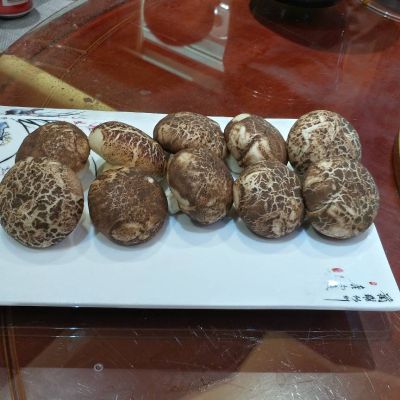 木器皮革瓷砖皮革