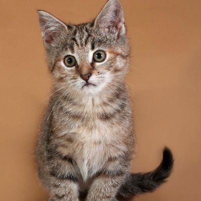 电器安装维修家电安装维修家电安装维修家电安装维修