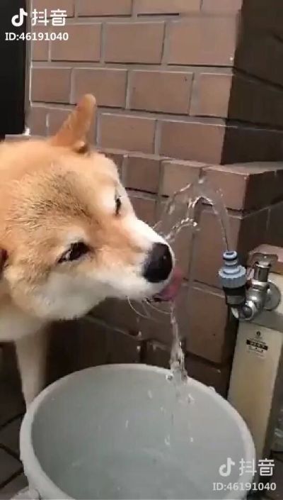 灯具硅藻泥