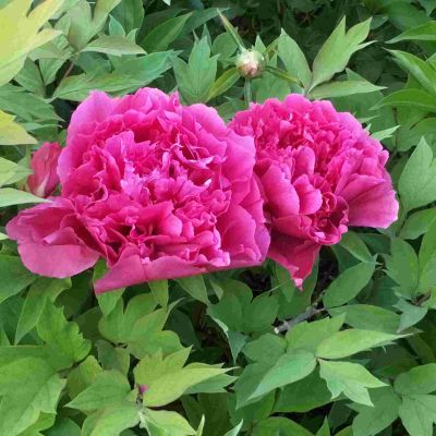 水电维修安装找我