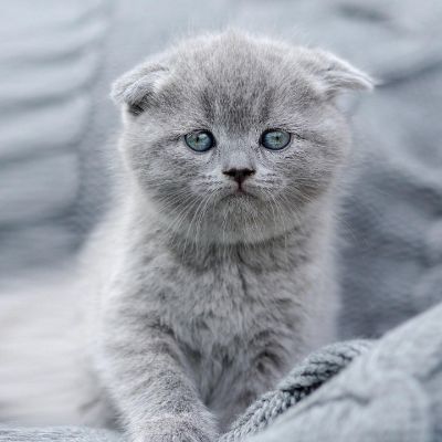 加工中心编程