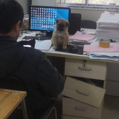 水电工水电安装