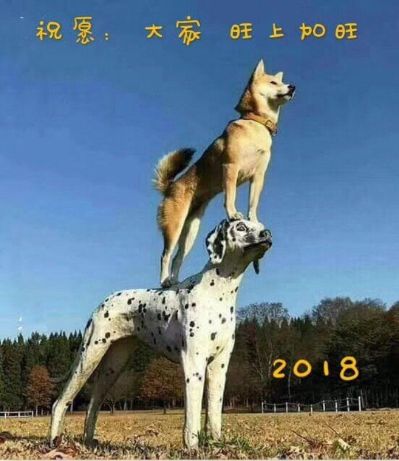家具厨具安装