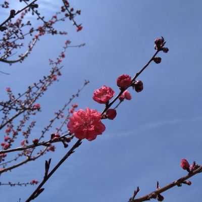 门窗