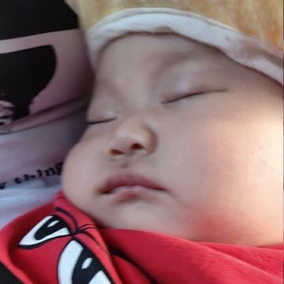 墙纸墙布