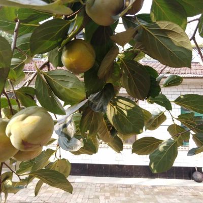 家装工装伟业家正装修家装工装家政家装工装保洁