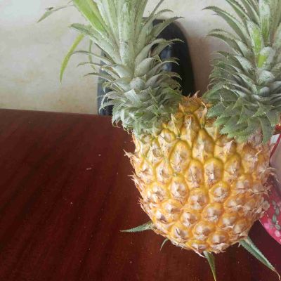家装泥水