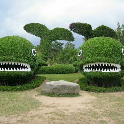 室内装修室内装修